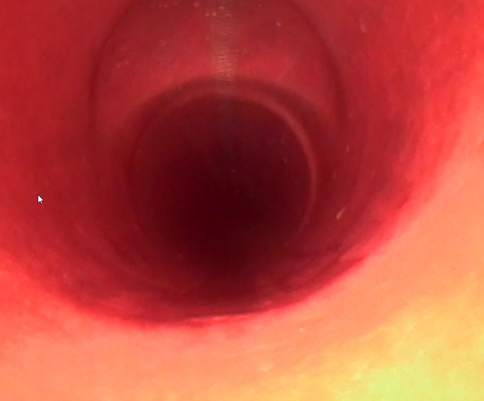 Inside view of a freshly relined sewer pipe